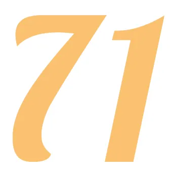 Polep vozidla Startovní číslo 71 typ 3 (08 - béžová) SAMOLEPKA NA AUTO, NÁLEPKA, FÓLIE, POLEP, TUNING, VLASTNÍ TEXT, TISK, AUTOSAMOLEPKY.cz, POLEPY, OBRÁZEK, LOGO, 3D STICKERS