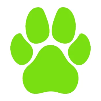 samolepka Tlapka 008 (04 - zelená kawasaki) SAMOLEPKA NA AUTO, NÁLEPKA, FÓLIE, POLEP, TUNING, VLASTNÍ TEXT, TISK, AUTOSAMOLEPKY.cz, POLEPY, OBRÁZEK, LOGO, 3D STICKERS