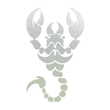 Polep vozidla Štír 005 levá (60 - pískované sklo) SAMOLEPKA NA AUTO, NÁLEPKA, FÓLIE, POLEP, TUNING, VLASTNÍ TEXT, TISK, AUTOSAMOLEPKY.cz, POLEPY, OBRÁZEK, LOGO, 3D STICKERS