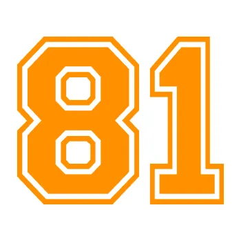 Polep vozidla Startovní číslo 81 typ 4 (06 - oranžová) SAMOLEPKA NA AUTO, NÁLEPKA, FÓLIE, POLEP, TUNING, VLASTNÍ TEXT, TISK, AUTOSAMOLEPKY.cz, POLEPY, OBRÁZEK, LOGO, 3D STICKERS