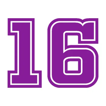 Polep vozidla Startovní číslo 16 typ 5 (14 - fialová) SAMOLEPKA NA AUTO, NÁLEPKA, FÓLIE, POLEP, TUNING, VLASTNÍ TEXT, TISK, AUTOSAMOLEPKY.cz, POLEPY, OBRÁZEK, LOGO, 3D STICKERS