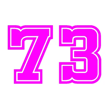 Polep vozidla Startovní číslo 73 typ 5 (72 - Fluorescentní růžová) SAMOLEPKA NA AUTO, NÁLEPKA, FÓLIE, POLEP, TUNING, VLASTNÍ TEXT, TISK, AUTOSAMOLEPKY.cz, POLEPY, OBRÁZEK, LOGO, 3D STICKERS