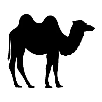 Samolepící dekorace SAMOLEPKA Velbloud 003 pravá (01 - černá) NA AUTO, NÁLEPKA, FÓLIE, POLEP, TUNING, VLASTNÍ TEXT, TISK, AUTOSAMOLEPKY.cz, POLEPY, OBRÁZEK, LOGO, SAMOLEPKY