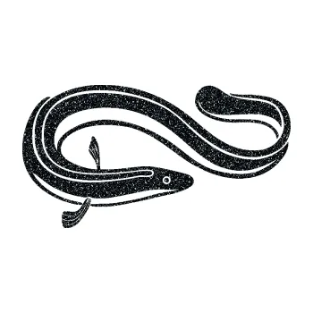 Polep vozidla SAMOLEPKA Úhoř 001 pravá (85 - Ultra Metalic černá) NA AUTO, NÁLEPKA, FÓLIE, POLEP, TUNING, VLASTNÍ TEXT, TISK, AUTOSAMOLEPKY.cz, POLEPY, OBRÁZEK, LOGO, SAMOLEPKY