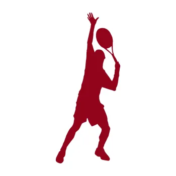 Polep vozidla Tenista 008 pravá (07 - bordó vínová) SAMOLEPKA NA AUTO, NÁLEPKA, FÓLIE, POLEP, TUNING, VLASTNÍ TEXT, TISK, AUTOSAMOLEPKY.cz, POLEPY, OBRÁZEK, LOGO, 3D STICKERS