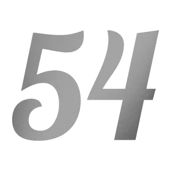 Polep vozidla Startovní číslo 54 typ 3 (42 - stříbrná metalíza) SAMOLEPKA NA AUTO, NÁLEPKA, FÓLIE, POLEP, TUNING, VLASTNÍ TEXT, TISK, AUTOSAMOLEPKY.cz, POLEPY, OBRÁZEK, LOGO, 3D STICKERS