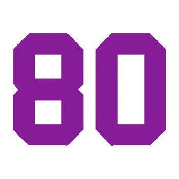 Polep vozidla Startovní číslo 80 (14 - fialová) SAMOLEPKA NA AUTO, NÁLEPKA, FÓLIE, POLEP, TUNING, VLASTNÍ TEXT, TISK, AUTOSAMOLEPKY.cz, POLEPY, OBRÁZEK, LOGO, 3D STICKERS