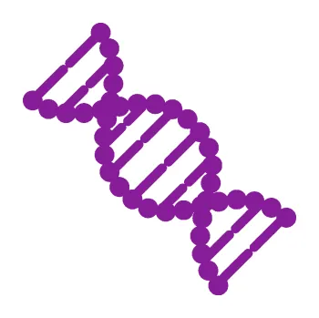 samolepka Vzorec DNA levá (14 - fialová) SAMOLEPKA NA AUTO, NÁLEPKA, FÓLIE, POLEP, TUNING, VLASTNÍ TEXT, TISK, AUTOSAMOLEPKY.cz, POLEPY, OBRÁZEK, LOGO, 3D STICKERS