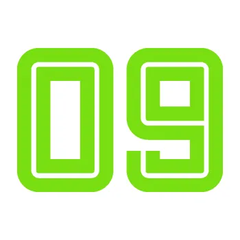 Polep vozidla Startovní číslo 09 typ 7 (04 - zelená kawasaki) SAMOLEPKA NA AUTO, NÁLEPKA, FÓLIE, POLEP, TUNING, VLASTNÍ TEXT, TISK, AUTOSAMOLEPKY.cz, POLEPY, OBRÁZEK, LOGO, 3D STICKERS