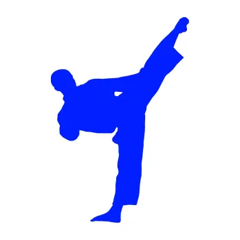 Polep vozidla Taekwondo 002 pravá (19 - modrá dynamic) SAMOLEPKA NA AUTO, NÁLEPKA, FÓLIE, POLEP, TUNING, VLASTNÍ TEXT, TISK, AUTOSAMOLEPKY.cz, POLEPY, OBRÁZEK, LOGO, 3D STICKERS