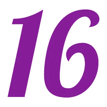 Polep vozidla Startovní číslo 16 typ 3 (14 - fialová) SAMOLEPKA NA AUTO, NÁLEPKA, FÓLIE, POLEP, TUNING, VLASTNÍ TEXT, TISK, AUTOSAMOLEPKY.cz, POLEPY, OBRÁZEK, LOGO, 3D STICKERS