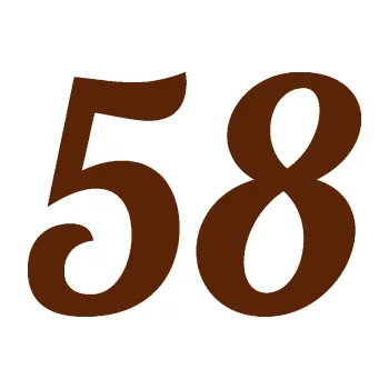 Polep vozidla Startovní číslo 58 typ 3 (15 - hnědá) SAMOLEPKA NA AUTO, NÁLEPKA, FÓLIE, POLEP, TUNING, VLASTNÍ TEXT, TISK, AUTOSAMOLEPKY.cz, POLEPY, OBRÁZEK, LOGO, 3D STICKERS