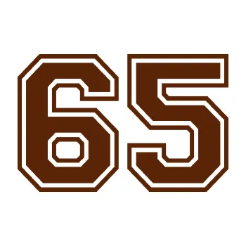 Polep vozidla Startovní číslo 65 typ 4 (15 - hnědá) SAMOLEPKA NA AUTO, NÁLEPKA, FÓLIE, POLEP, TUNING, VLASTNÍ TEXT, TISK, AUTOSAMOLEPKY.cz, POLEPY, OBRÁZEK, LOGO, 3D STICKERS