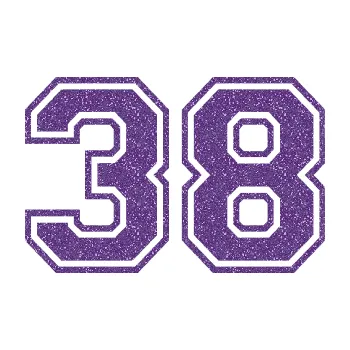 Polep vozidla SAMOLEPKA Startovní číslo 38 typ 4 (87 - Ultra Metalic fialová) NA AUTO, NÁLEPKA, FÓLIE, POLEP, TUNING, VLASTNÍ TEXT, TISK, AUTOSAMOLEPKY.cz, POLEPY, OBRÁZEK, LOGO, SAMOLEPKY