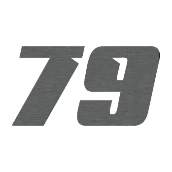 Polep vozidla Startovní číslo 79 typ 6 (62 - škrábaný titan) SAMOLEPKA NA AUTO, NÁLEPKA, FÓLIE, POLEP, TUNING, VLASTNÍ TEXT, TISK, AUTOSAMOLEPKY.cz, POLEPY, OBRÁZEK, LOGO, 3D STICKERS