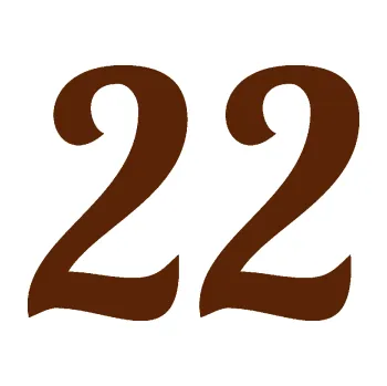 Polep vozidla Startovní číslo 22 typ 3 (15 - hnědá) SAMOLEPKA NA AUTO, NÁLEPKA, FÓLIE, POLEP, TUNING, VLASTNÍ TEXT, TISK, AUTOSAMOLEPKY.cz, POLEPY, OBRÁZEK, LOGO, 3D STICKERS