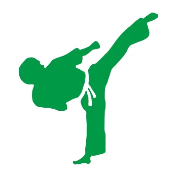 Polep vozidla Taekwondo 001 pravá (12 - zelená) SAMOLEPKA NA AUTO, NÁLEPKA, FÓLIE, POLEP, TUNING, VLASTNÍ TEXT, TISK, AUTOSAMOLEPKY.cz, POLEPY, OBRÁZEK, LOGO, 3D STICKERS