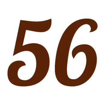 Polep vozidla Startovní číslo 56 typ 3 (15 - hnědá) SAMOLEPKA NA AUTO, NÁLEPKA, FÓLIE, POLEP, TUNING, VLASTNÍ TEXT, TISK, AUTOSAMOLEPKY.cz, POLEPY, OBRÁZEK, LOGO, 3D STICKERS