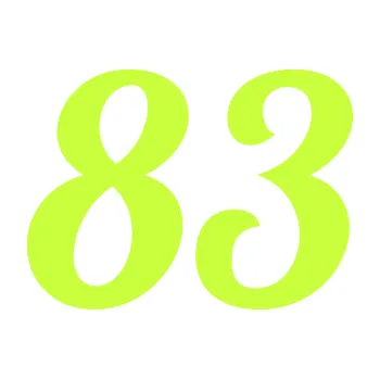 Polep vozidla Startovní číslo 83 typ 3 (27 - limetová) SAMOLEPKA NA AUTO, NÁLEPKA, FÓLIE, POLEP, TUNING, VLASTNÍ TEXT, TISK, AUTOSAMOLEPKY.cz, POLEPY, OBRÁZEK, LOGO, 3D STICKERS