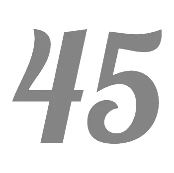 Polep vozidla Startovní číslo 45 typ 3 (17 - šedá) SAMOLEPKA NA AUTO, NÁLEPKA, FÓLIE, POLEP, TUNING, VLASTNÍ TEXT, TISK, AUTOSAMOLEPKY.cz, POLEPY, OBRÁZEK, LOGO, 3D STICKERS