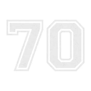 Polep vozidla Startovní číslo 70 typ 4 (84 - Ultra Metalic bílá) SAMOLEPKA NA AUTO, NÁLEPKA, FÓLIE, POLEP, TUNING, VLASTNÍ TEXT, TISK, AUTOSAMOLEPKY.cz, POLEPY, OBRÁZEK, LOGO, 3D STICKERS