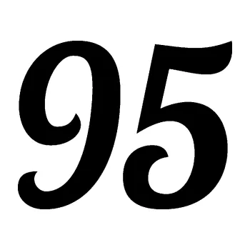 Polep vozidla Startovní číslo 95 typ 3 (01 - černá) SAMOLEPKA NA AUTO, NÁLEPKA, FÓLIE, POLEP, TUNING, VLASTNÍ TEXT, TISK, AUTOSAMOLEPKY.cz, POLEPY, OBRÁZEK, LOGO, 3D STICKERS