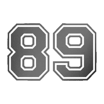 Polep vozidla Startovní číslo 89 typ 4 (41 - grafitová metalíza) SAMOLEPKA NA AUTO, NÁLEPKA, FÓLIE, POLEP, TUNING, VLASTNÍ TEXT, TISK, AUTOSAMOLEPKY.cz, POLEPY, OBRÁZEK, LOGO, 3D STICKERS