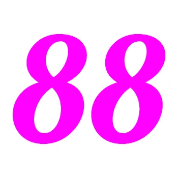 Polep vozidla Startovní číslo 88 typ 3 (72 - Fluorescentní růžová) SAMOLEPKA NA AUTO, NÁLEPKA, FÓLIE, POLEP, TUNING, VLASTNÍ TEXT, TISK, AUTOSAMOLEPKY.cz, POLEPY, OBRÁZEK, LOGO, 3D STICKERS