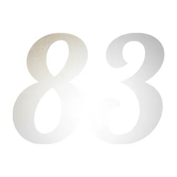 Polep vozidla Startovní číslo 83 typ 3 (82 - odrazková reflexní bílá) SAMOLEPKA NA AUTO, NÁLEPKA, FÓLIE, POLEP, TUNING, VLASTNÍ TEXT, TISK, AUTOSAMOLEPKY.cz, POLEPY, OBRÁZEK, LOGO, 3D STICKERS