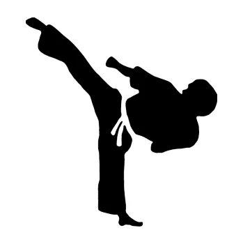 Polep vozidla Taekwondo 001 levá (01 - černá) SAMOLEPKA NA AUTO, NÁLEPKA, FÓLIE, POLEP, TUNING, VLASTNÍ TEXT, TISK, AUTOSAMOLEPKY.cz, POLEPY, OBRÁZEK, LOGO, 3D STICKERS