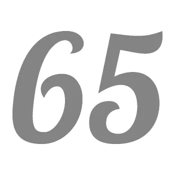 Polep vozidla Startovní číslo 65 typ 3 (17 - šedá) SAMOLEPKA NA AUTO, NÁLEPKA, FÓLIE, POLEP, TUNING, VLASTNÍ TEXT, TISK, AUTOSAMOLEPKY.cz, POLEPY, OBRÁZEK, LOGO, 3D STICKERS