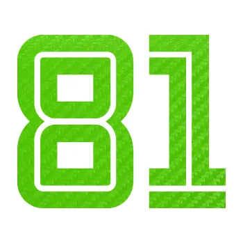 Polep vozidla Startovní číslo 81 typ 7 (58 - 3D karbon zelený kawasaki) SAMOLEPKA NA AUTO, NÁLEPKA, FÓLIE, POLEP, TUNING, VLASTNÍ TEXT, TISK, AUTOSAMOLEPKY.cz, POLEPY, OBRÁZEK, LOGO, 3D STICKERS