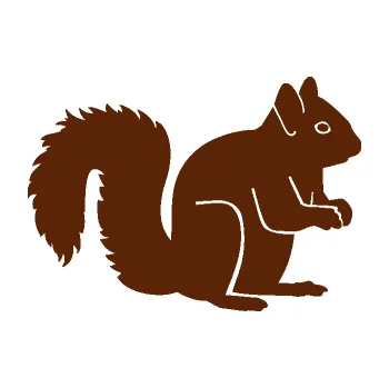Samolepící dekorace Veverka 001 pravá (15 - hnědá) SAMOLEPKA NA AUTO, NÁLEPKA, FÓLIE, POLEP, TUNING, VLASTNÍ TEXT, TISK, AUTOSAMOLEPKY.cz, POLEPY, OBRÁZEK, LOGO, 3D STICKERS