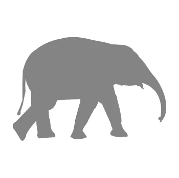 Samolepící dekorace SAMOLEPKA Slon 017 pravá (17 - šedá) NA AUTO, NÁLEPKA, FÓLIE, POLEP, TUNING, VLASTNÍ TEXT, TISK, AUTOSAMOLEPKY.cz, POLEPY, OBRÁZEK, LOGO, SAMOLEPKY