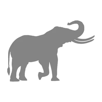 Samolepící dekorace SAMOLEPKA Slon 003 pravá (17 - šedá) NA AUTO, NÁLEPKA, FÓLIE, POLEP, TUNING, VLASTNÍ TEXT, TISK, AUTOSAMOLEPKY.cz, POLEPY, OBRÁZEK, LOGO, SAMOLEPKY