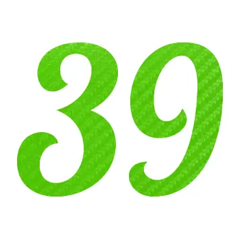 Polep vozidla Startovní číslo 39 typ 3 (58 - 3D karbon zelený kawasaki) SAMOLEPKA NA AUTO, NÁLEPKA, FÓLIE, POLEP, TUNING, VLASTNÍ TEXT, TISK, AUTOSAMOLEPKY.cz, POLEPY, OBRÁZEK, LOGO, 3D STICKERS