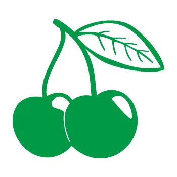 Samolepící dekorace SAMOLEPKA Třešně 003 pravá (12 - zelená) NA AUTO, NÁLEPKA, FÓLIE, POLEP, TUNING, VLASTNÍ TEXT, TISK, AUTOSAMOLEPKY.cz, POLEPY, OBRÁZEK, LOGO, SAMOLEPKY