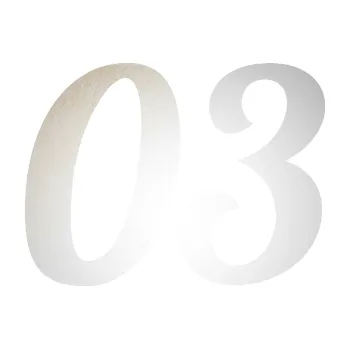 Polep vozidla SAMOLEPKA Startovní číslo 03 typ 3 (82 - odrazková reflexní bílá) NA AUTO, NÁLEPKA, FÓLIE, POLEP, TUNING, VLASTNÍ TEXT, TISK, AUTOSAMOLEPKY.cz, POLEPY, OBRÁZEK, LOGO, SAMOLEPKY