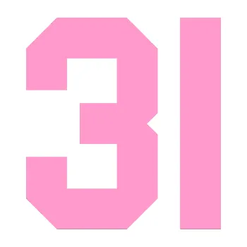 Polep vozidla Startovní číslo 31 (24 - světle růžová) SAMOLEPKA NA AUTO, NÁLEPKA, FÓLIE, POLEP, TUNING, VLASTNÍ TEXT, TISK, AUTOSAMOLEPKY.cz, POLEPY, OBRÁZEK, LOGO, 3D STICKERS