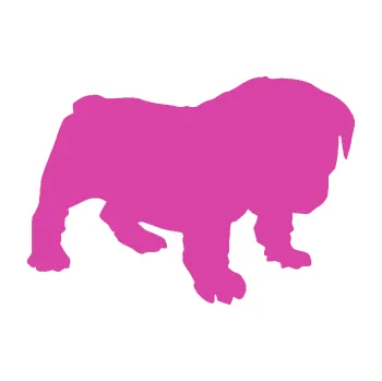 Polep vozidla SAMOLEPKA Štěňátko 004 pravá francouzský buldoček (16 - růžová) NA AUTO, NÁLEPKA, FÓLIE, POLEP, TUNING, VLASTNÍ TEXT, TISK, AUTOSAMOLEPKY.cz, POLEPY, OBRÁZEK, LOGO, SAMOLEPKY