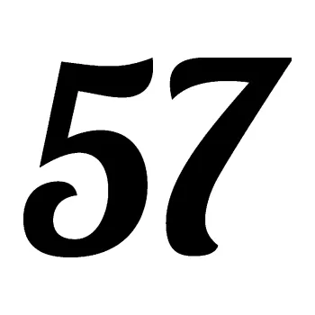 Polep vozidla Startovní číslo 57 typ 3 (01 - černá) SAMOLEPKA NA AUTO, NÁLEPKA, FÓLIE, POLEP, TUNING, VLASTNÍ TEXT, TISK, AUTOSAMOLEPKY.cz, POLEPY, OBRÁZEK, LOGO, 3D STICKERS