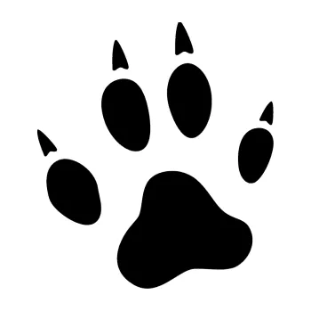 Samolepící dekorace SAMOLEPKA Tlapka 004 levá (01 - černá) NA AUTO, NÁLEPKA, FÓLIE, POLEP, TUNING, VLASTNÍ TEXT, TISK, AUTOSAMOLEPKY.cz, POLEPY, OBRÁZEK, LOGO, SAMOLEPKY