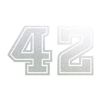 Polep vozidla Startovní číslo 42 typ 5 (60 - pískované sklo) SAMOLEPKA NA AUTO, NÁLEPKA, FÓLIE, POLEP, TUNING, VLASTNÍ TEXT, TISK, AUTOSAMOLEPKY.cz, POLEPY, OBRÁZEK, LOGO, 3D STICKERS