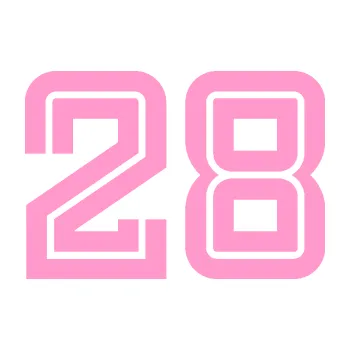 Polep vozidla Startovní číslo 28 typ 7 (24 - světle růžová) SAMOLEPKA NA AUTO, NÁLEPKA, FÓLIE, POLEP, TUNING, VLASTNÍ TEXT, TISK, AUTOSAMOLEPKY.cz, POLEPY, OBRÁZEK, LOGO, 3D STICKERS