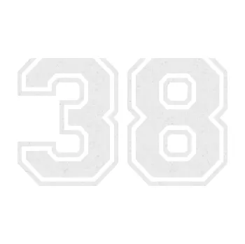 Polep vozidla Startovní číslo 38 typ 4 (84 - Ultra Metalic bílá) SAMOLEPKA NA AUTO, NÁLEPKA, FÓLIE, POLEP, TUNING, VLASTNÍ TEXT, TISK, AUTOSAMOLEPKY.cz, POLEPY, OBRÁZEK, LOGO, 3D STICKERS