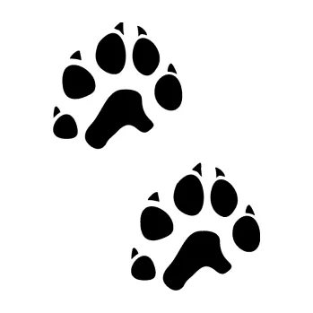 samolepka Tlapky 003 (01 - černá) SAMOLEPKA NA AUTO, NÁLEPKA, FÓLIE, POLEP, TUNING, VLASTNÍ TEXT, TISK, AUTOSAMOLEPKY.cz, POLEPY, OBRÁZEK, LOGO, 3D STICKERS