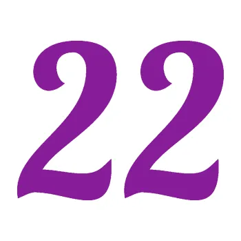 Polep vozidla Startovní číslo 22 typ 3 (14 - fialová) SAMOLEPKA NA AUTO, NÁLEPKA, FÓLIE, POLEP, TUNING, VLASTNÍ TEXT, TISK, AUTOSAMOLEPKY.cz, POLEPY, OBRÁZEK, LOGO, 3D STICKERS