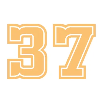 Polep vozidla Startovní číslo 37 typ 5 (08 - béžová) SAMOLEPKA NA AUTO, NÁLEPKA, FÓLIE, POLEP, TUNING, VLASTNÍ TEXT, TISK, AUTOSAMOLEPKY.cz, POLEPY, OBRÁZEK, LOGO, 3D STICKERS