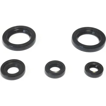 Těsnění pro motocykl Sada gufer motoru ATHENA KTM 125 Duke rok 11-15