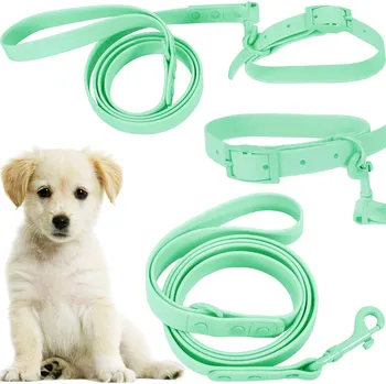 Obojek pro psa Rea Vodítko a obojek pro psa PJ-069 zelené S